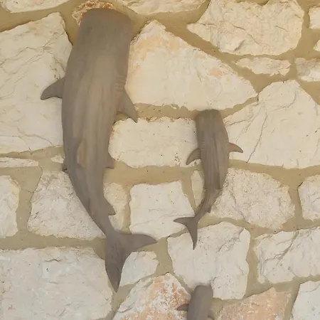 Jootiq * Ακρωτήρι